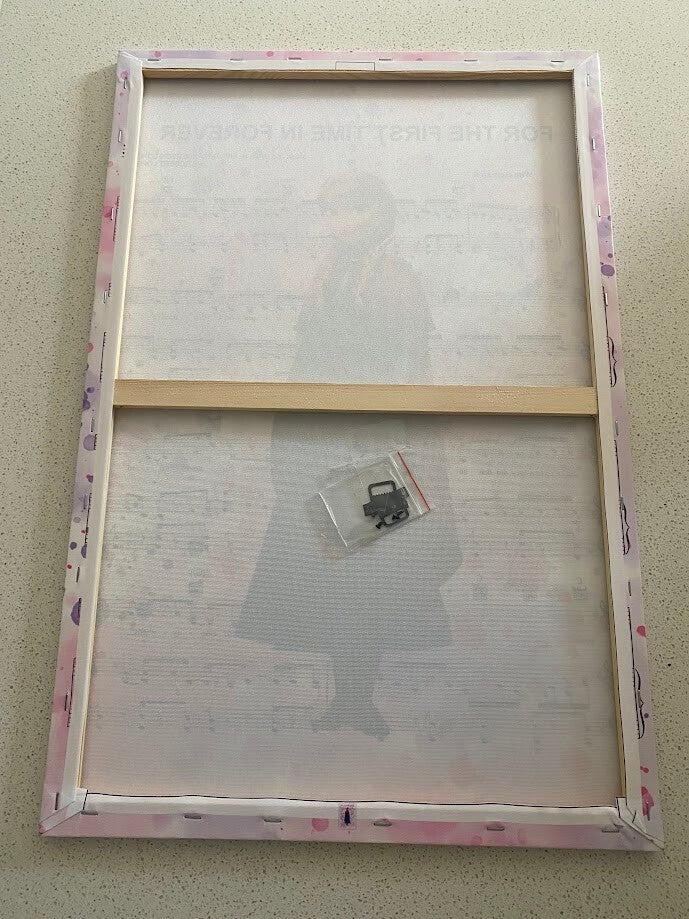 ANNA-FROZEN-FRAMED STRETCHED CANVAS PRINT-ART-READY TO HANG-40CMx60CM