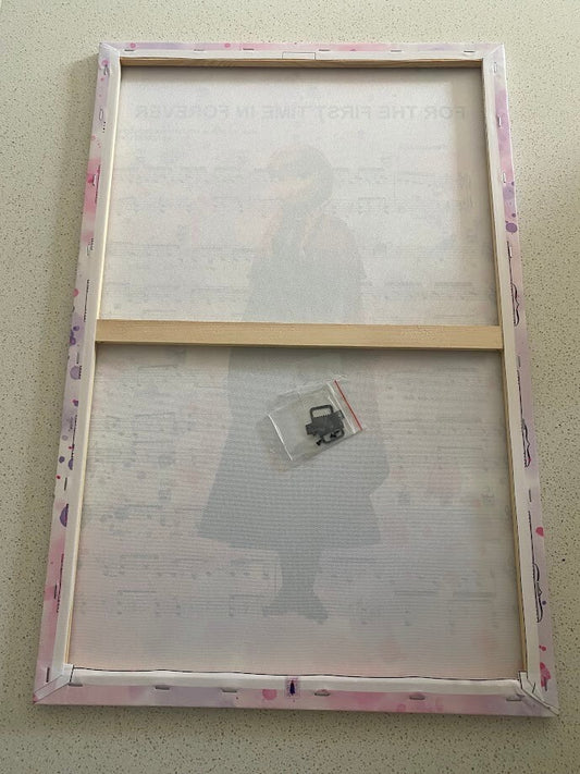 ANNA-FROZEN-FRAMED STRETCHED CANVAS PRINT-ART-READY TO HANG-40CMx60CM