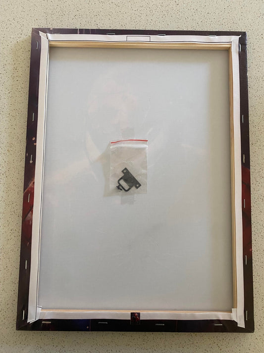 SPIDER-MAN-FRAMED-STRETCHED CANVAS PRINT-WALL ART-READY TO HANG-30CMx40CM