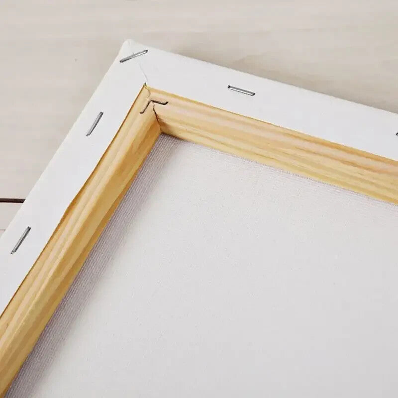 ANNA-FROZEN-FRAMED STRETCHED CANVAS PRINT-ART-READY TO HANG-40CMx60CM