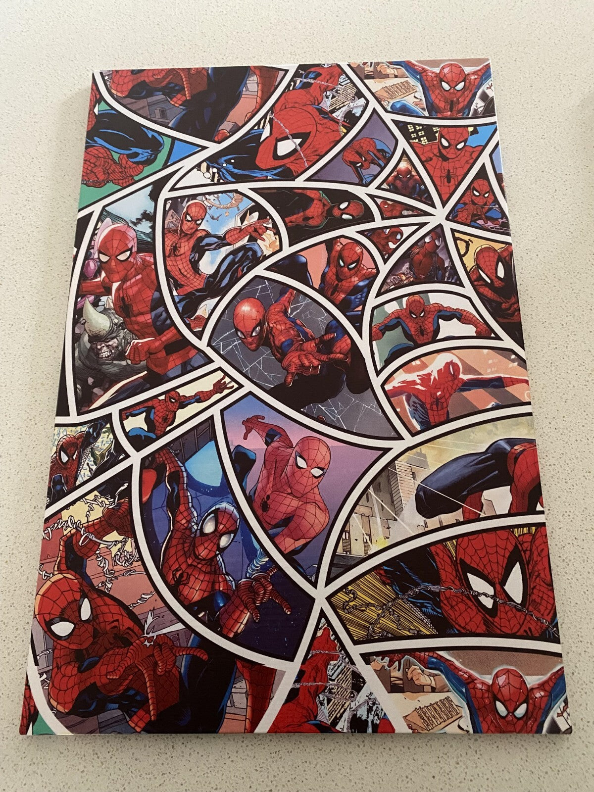 SPIDER MAN-FRAMED STRETCHED CANVAS PRINT- ART-READY TO HANG-40CMx60CM