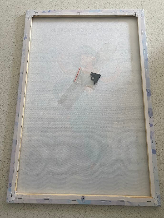 JASMINE-ALADDIN-FRAMED STRETCHED CANVAS PRINT-ART-READY TO HANG-40CMx60CM