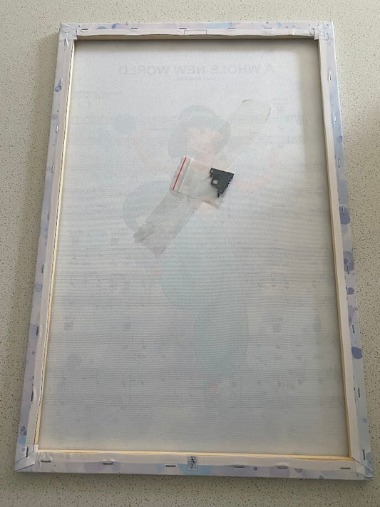 JASMINE-ALADDIN-FRAMED STRETCHED CANVAS PRINT-ART-READY TO HANG-40CMx60CM